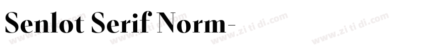 Senlot Serif Norm字体转换